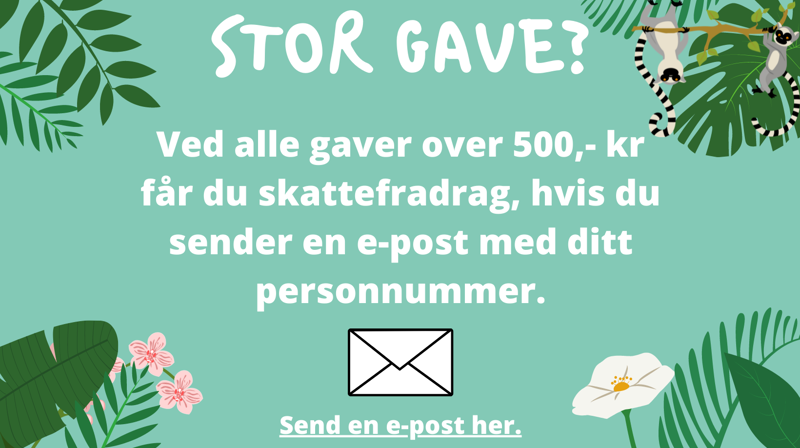 Stor gave?