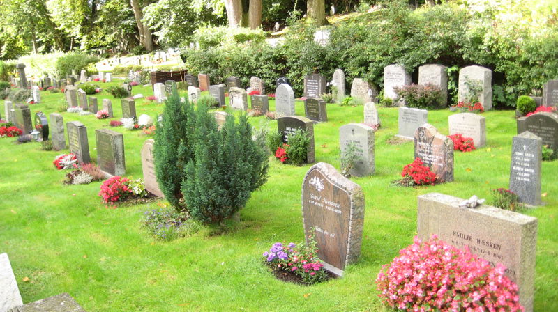 Sommerstemning på kirkegården med grønt gress og blomster i plantefeltene foran gravstenene.