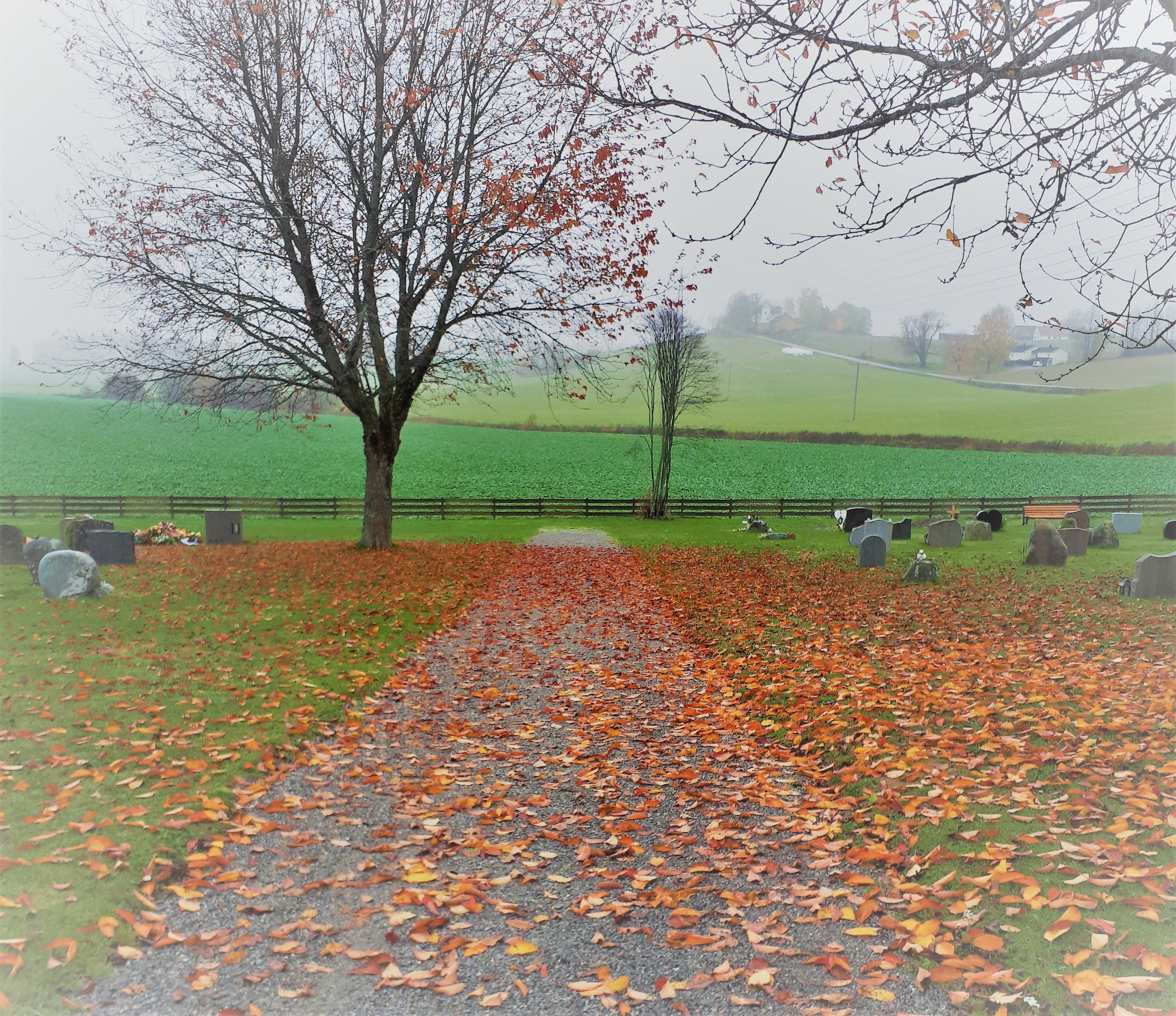 Gravplassforvaltning - et offentlig ansvar