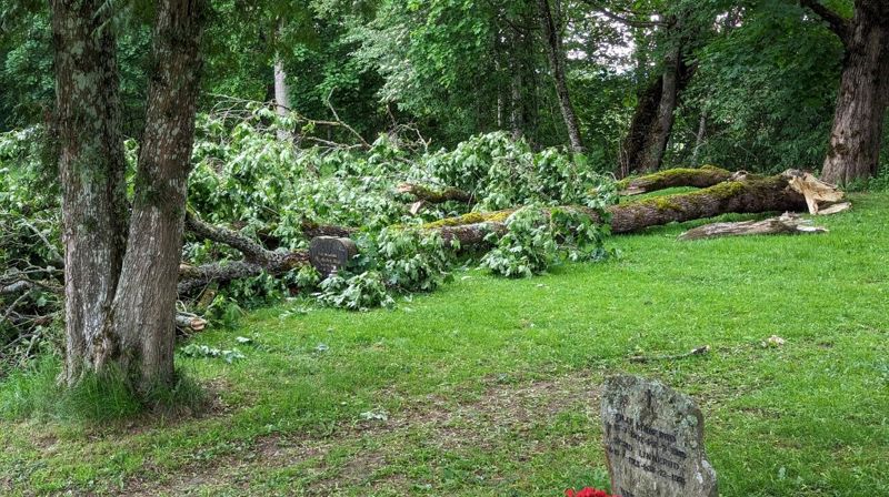 Skade etter gårsdagens storm