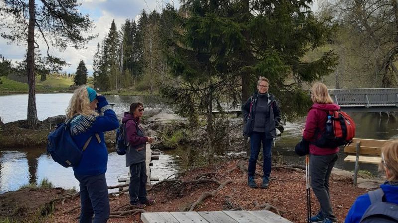 Er du Eidsvoll menighet sin nye Pilegrims kontakt?