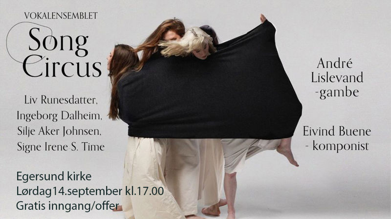 Konsert med Song Circus