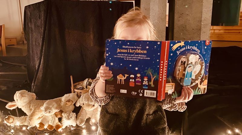 Hjelp gjeteren å finne sauen Krølle!