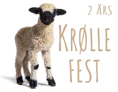 2 åringer - Krøllefest