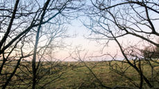 Foto: Stine Wium Jakobsen