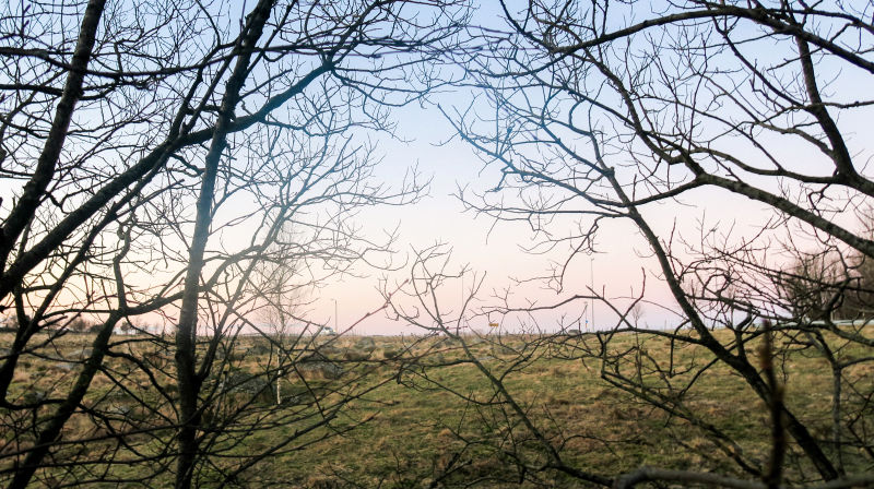 Foto: Stine Wium Jakobsen