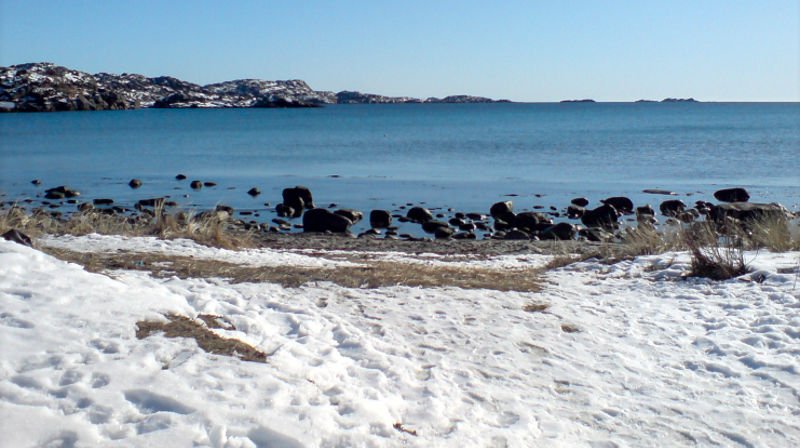 Foto: Stine Wium Jakobsen