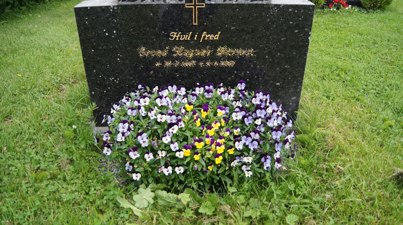 Eksempel på vårplanting