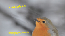 Framsida av Kyrkje-Varden har bilete av Raudstrupa