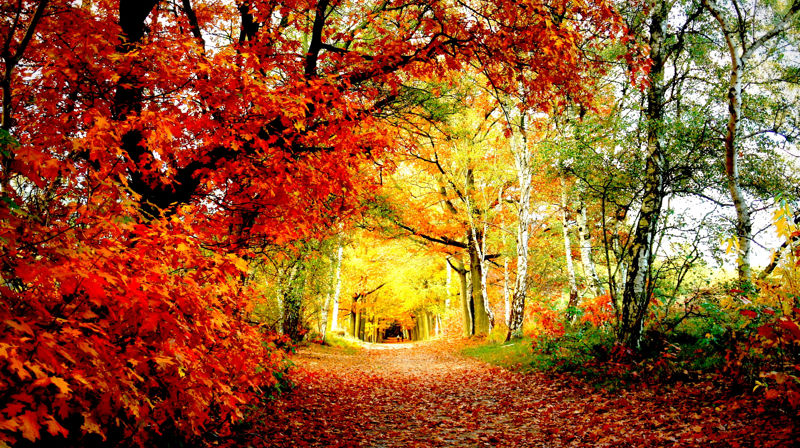 Nye sokneråd i Etnedal - valperioda 2019-2023