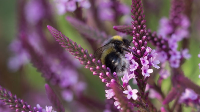 Gudsteneste 12. september kl. 16.30