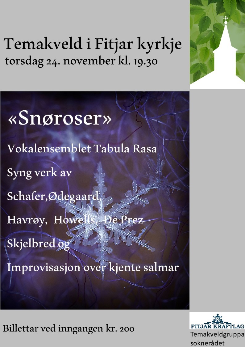 Snøroser 24.nov 22.jpg