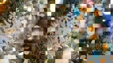 Illustrasjonsfoto: Pixabay