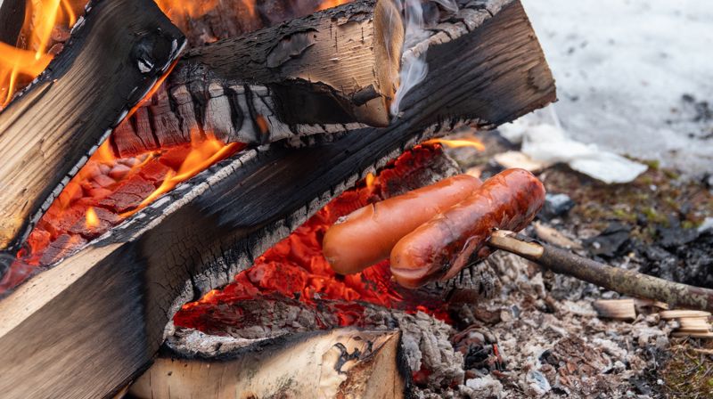 Illustrasjonsfoto: Pixabay