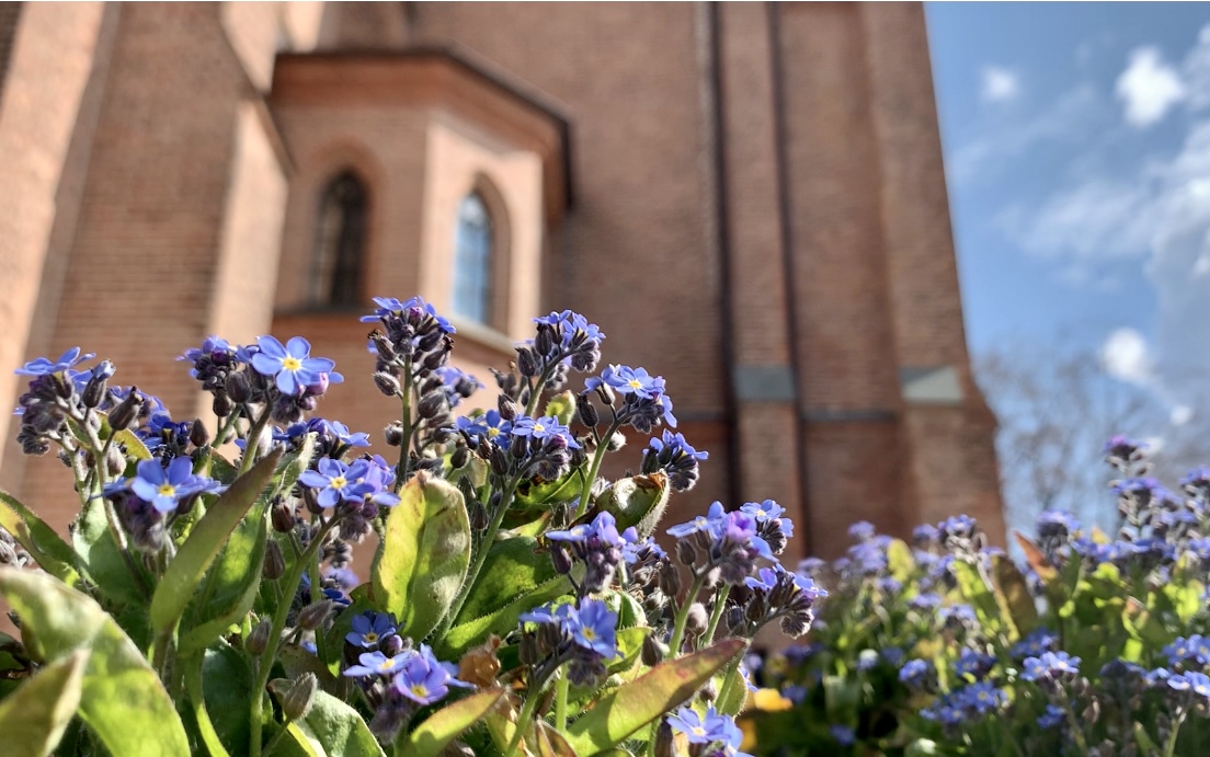 Toppbilde for Domkirken menighet