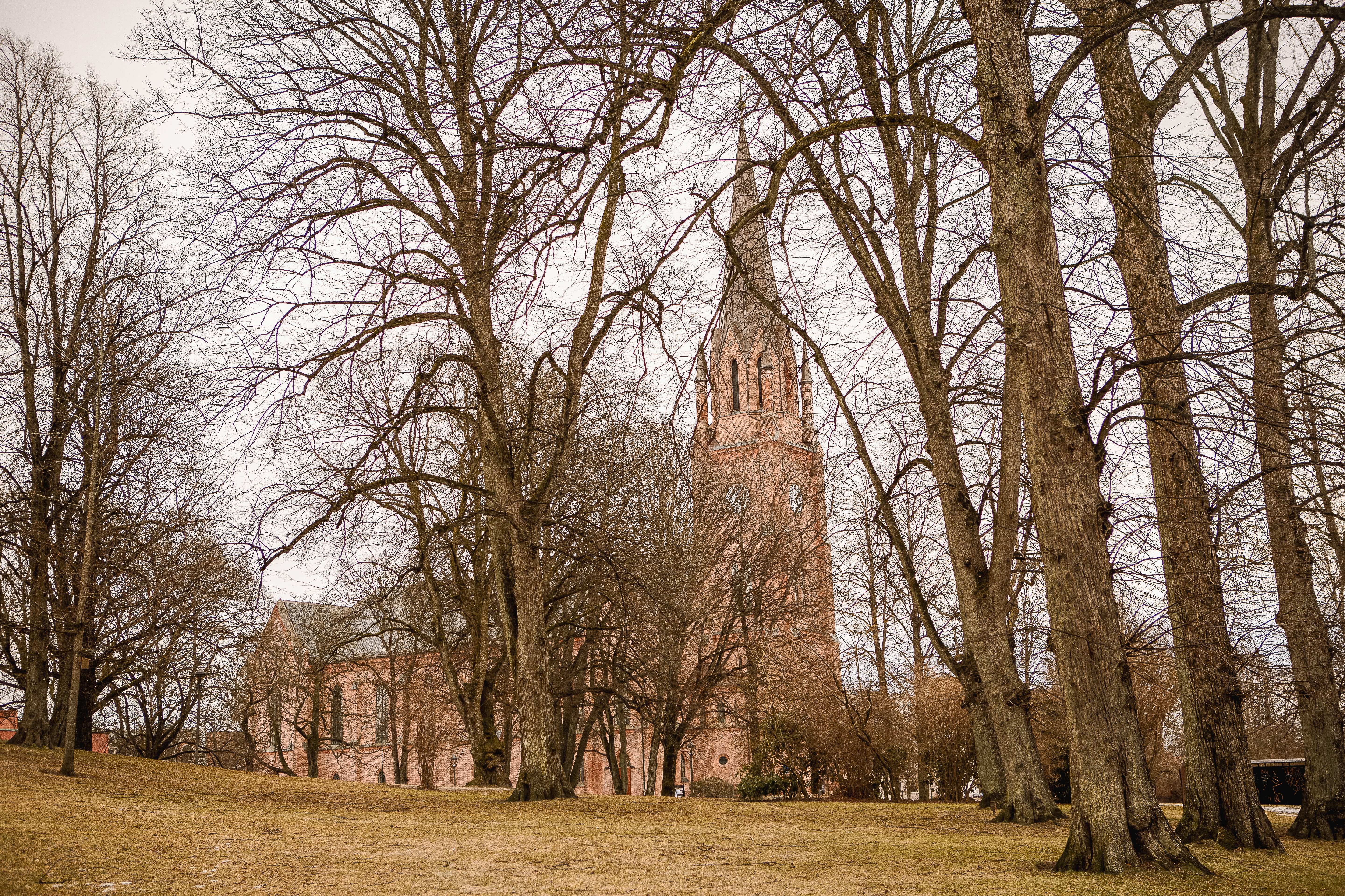 Fredrikstad Domkirke (FOTO: Cecilia Riis Kjeldsen)