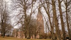 Fredrikstad Domkirke (FOTO: Cecilia Riis Kjeldsen)