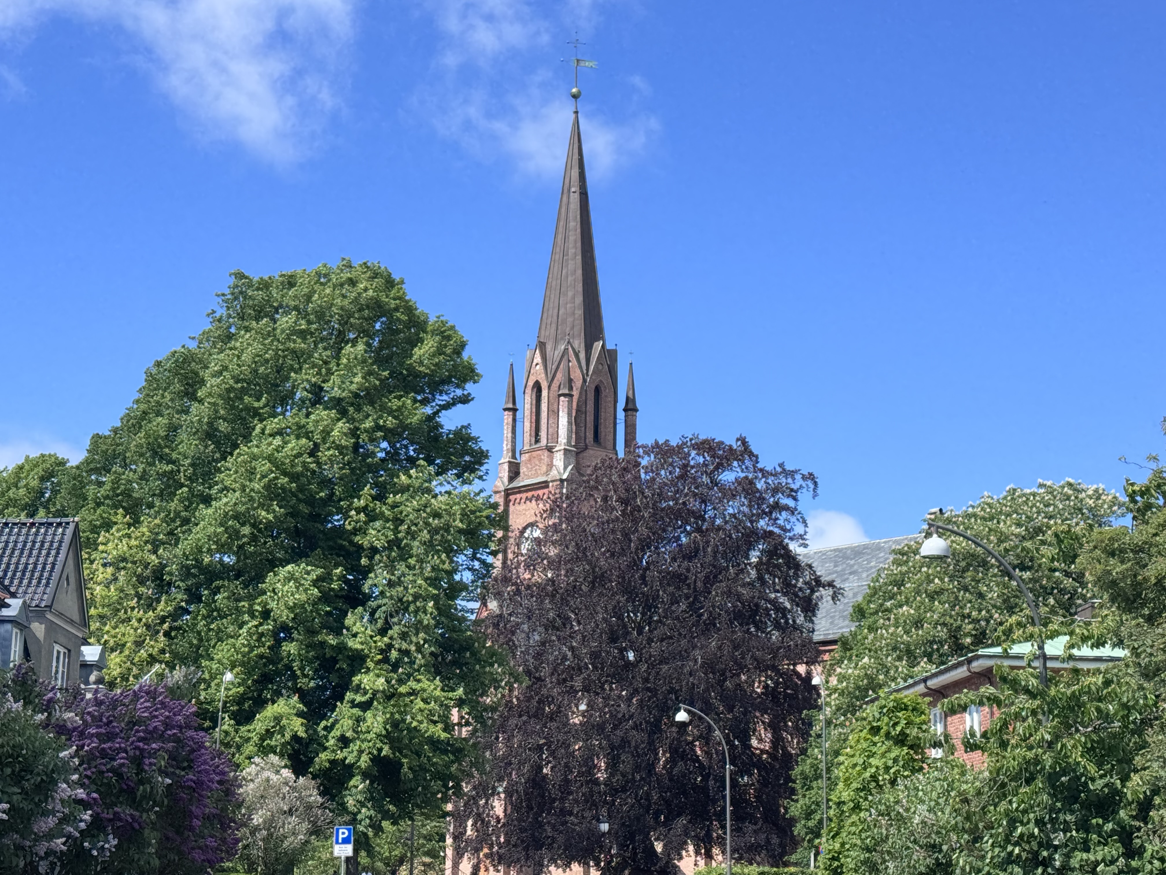 Domkirken i uke 24