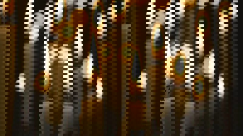 Allehelgenskveld i Domkirken