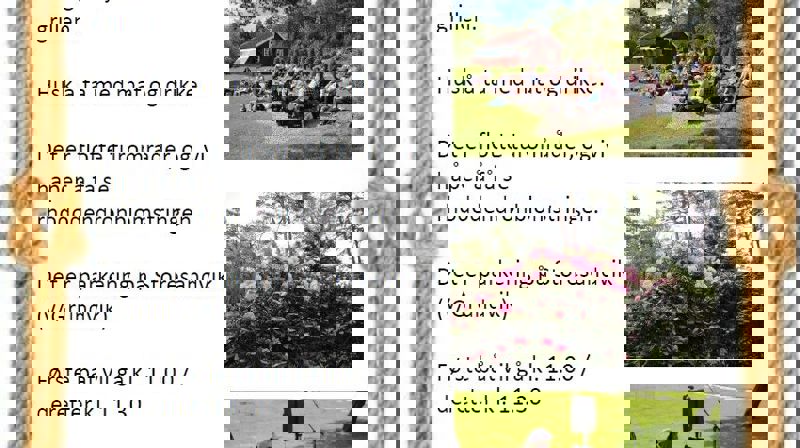 Friluftsgudstjeneste på Risholmen.