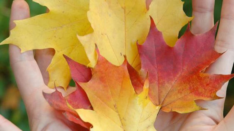 Nytt månedsbrev fra Rolvsøy menighet