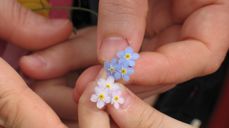 Illustrasjonsfoto: Pixabay.com