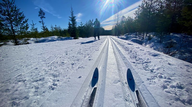 Vinterferien - uke 8