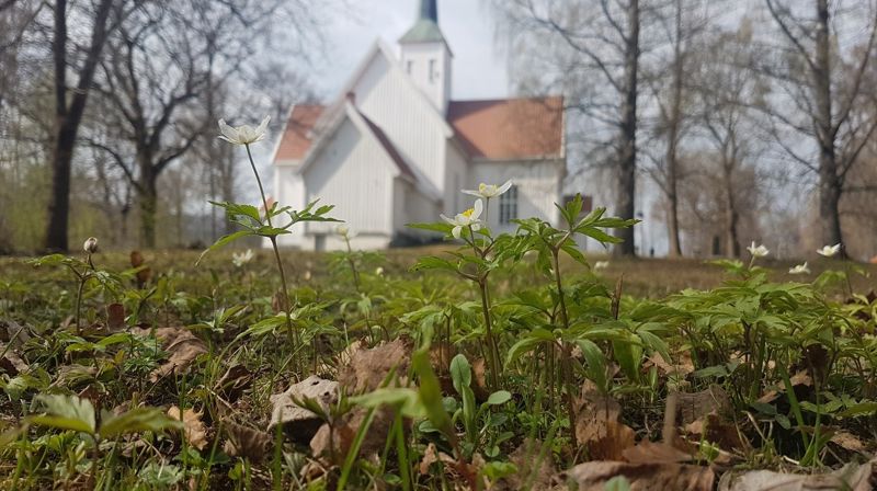 Sommeråpen Biri kirke