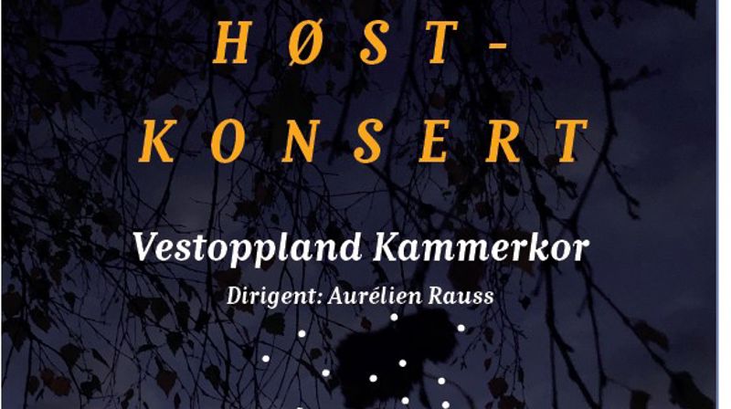 Høstkonserter med Vestoppland kammerkor