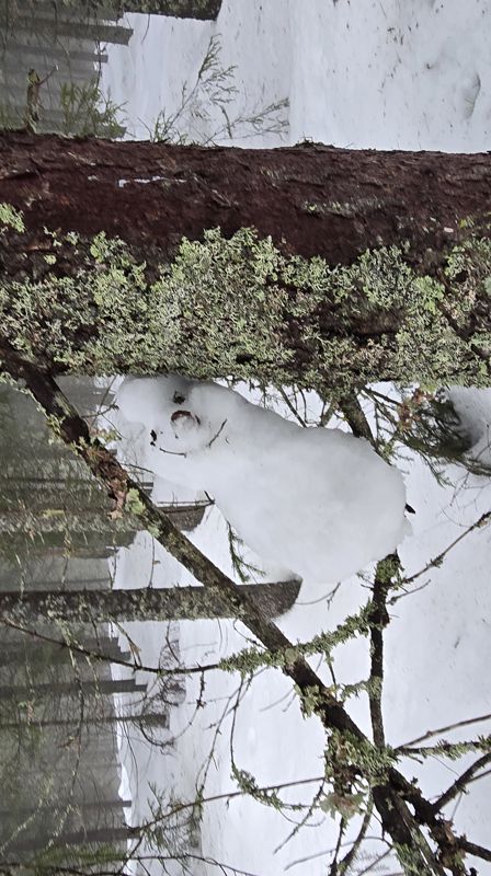 Aktivitetsdag 16. mars 2025 kl 11-15