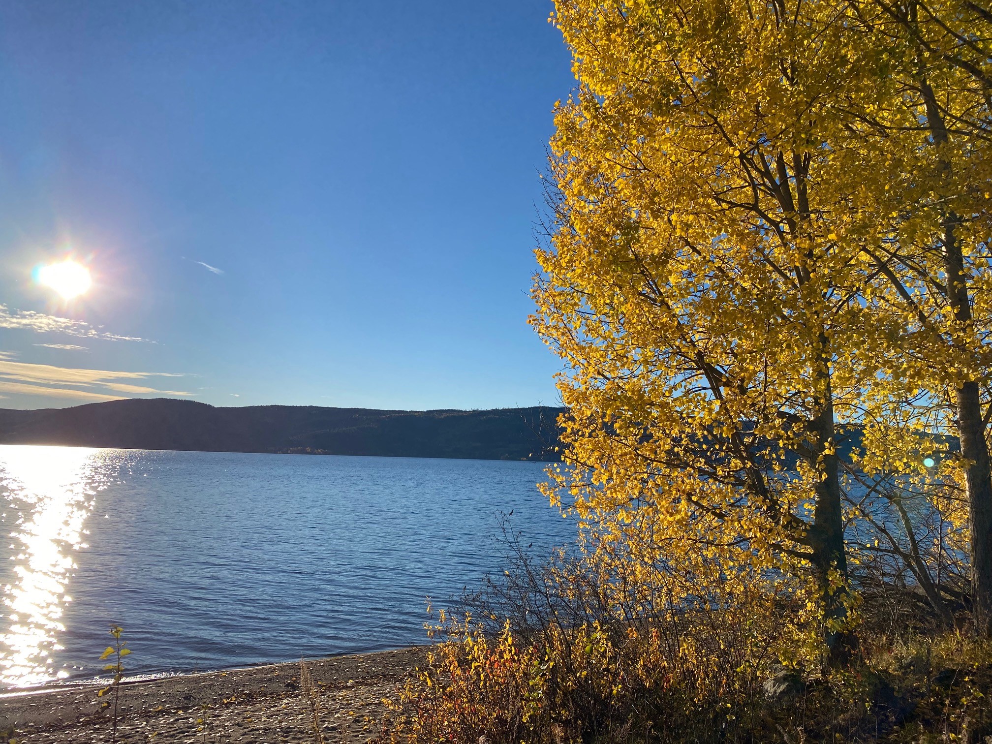 Høstens farger mot Randsfjorden. Foto: Kirken i Gran/Inger Stensrud Haug. 