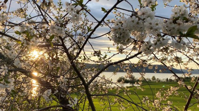 Vårkveld med konfirmantene