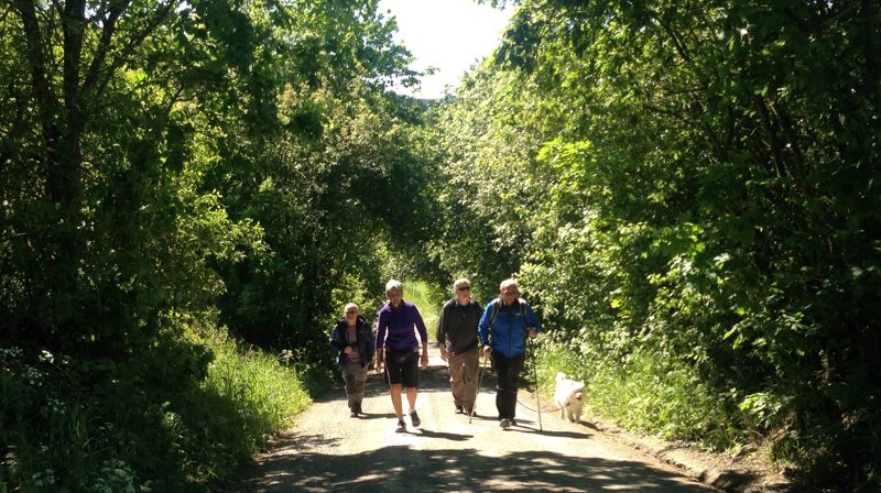 Pilegrimsvandring ved Alm på Tingelstadhøgda. (Foto: Jane Dahl Sogn 2018).