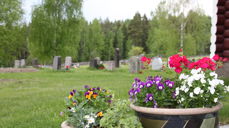 Moen gravplass med blomsterurner foran kirken. Foto: Kirken i Gran/Inger Stensrud Haug.