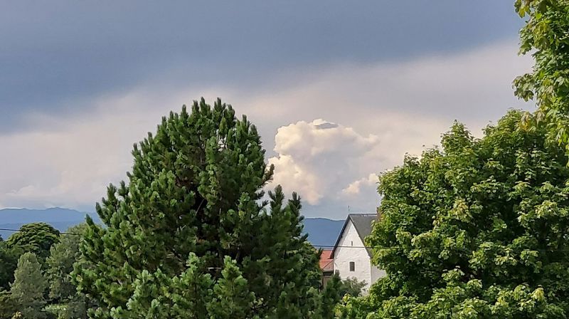 Steinhuset er en av møteplassene du får høre musikk og lyrikk på denne vandringskonserten. Her skimter vi Steinhuset mellom frodig bladverk (foto: Marthe S. Skeie).