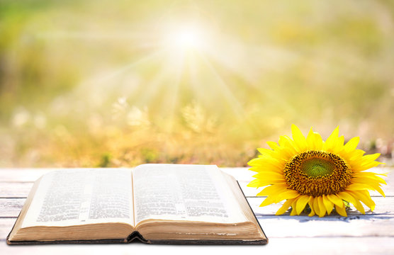 Hvem leter du etter?