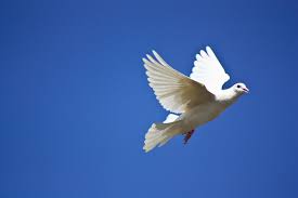 Gudstjeneste i Melbu kirke