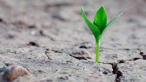 Faste TIL noe bedre!