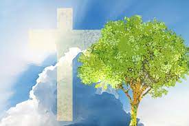 &#197; komme tilbake til virkeligheten med et brak!