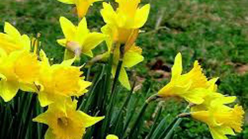 Kirka følger påskebudskapet fra dag til dag