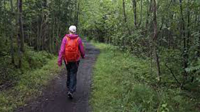 Pilgrimsvandring til Hadsel kirke