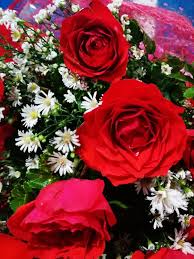 En mild tunge knuser bein