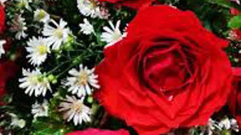 En mild tunge knuser bein