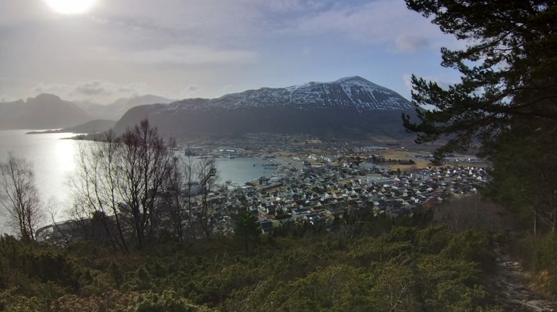 Vil du hjelpe flyktningane?