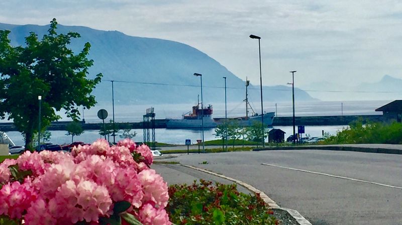 Gudstenester og andakter sommaren 2023