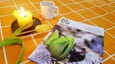 Nyt det nye bladet til en rolig kaffekopp, eller les det på nett hvor som helst. Lenke nederst på siden.