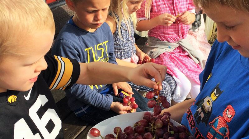 En førsteklasses opplevelse