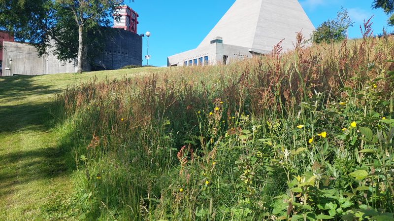Grønn menighet blir "Grønn kirke"