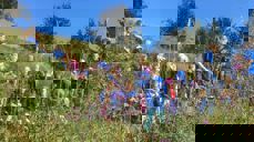 I Skåre drar seksåringene på en god vandring i naturen, sammen med ungdomsledere og voksne.