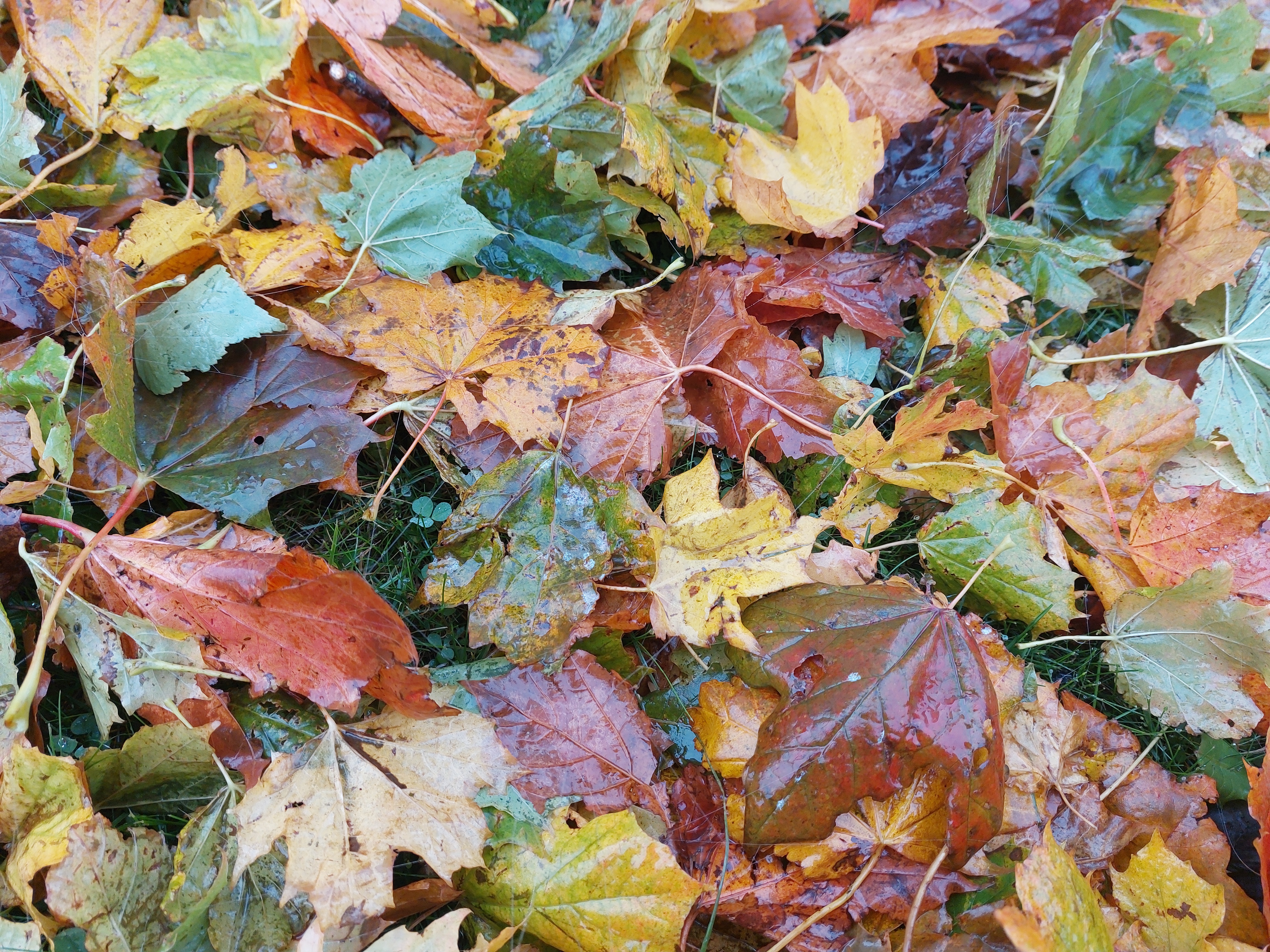 Toppbilde for Hole kirkelige fellesråd